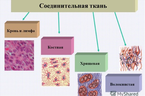 Кракен ссылки krakenwebs org